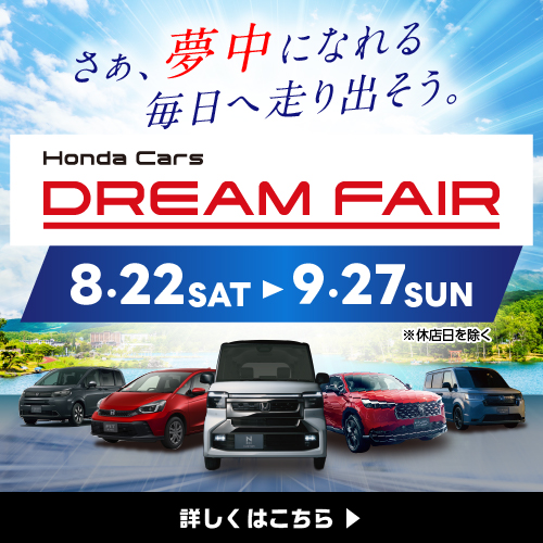 DREAM FAIR