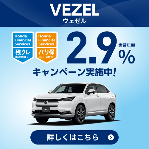 vezel�����