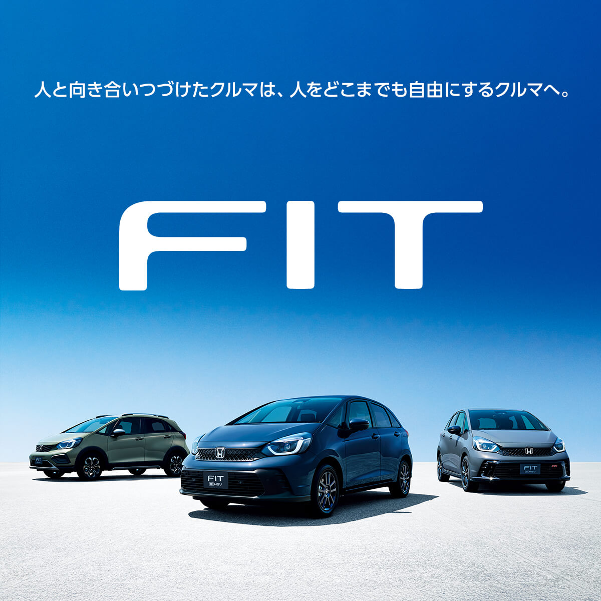 FIT
